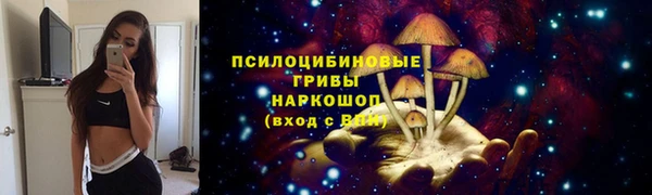 индика Богданович