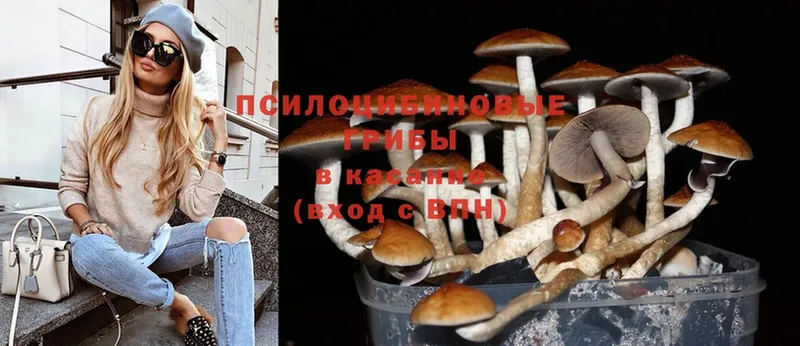 Псилоцибиновые грибы Magic Shrooms  где купить   Рассказово 